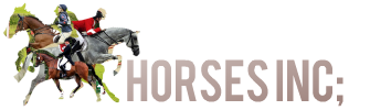 HORSESINC;